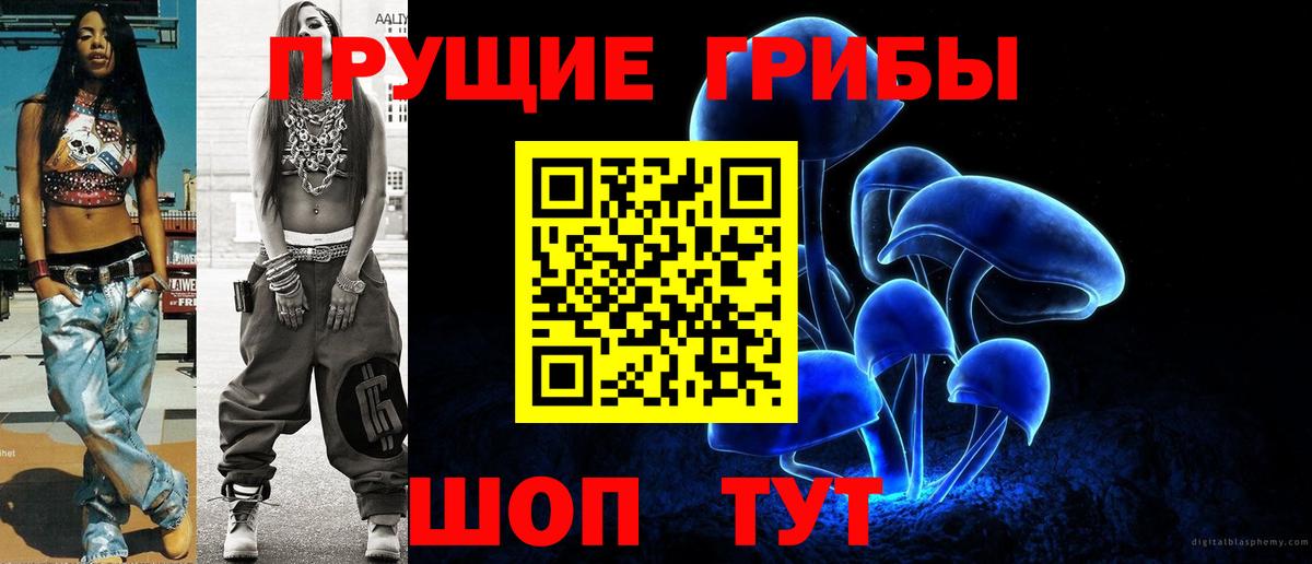 Псилоцибиновые грибы прущие грибы Буйнакск