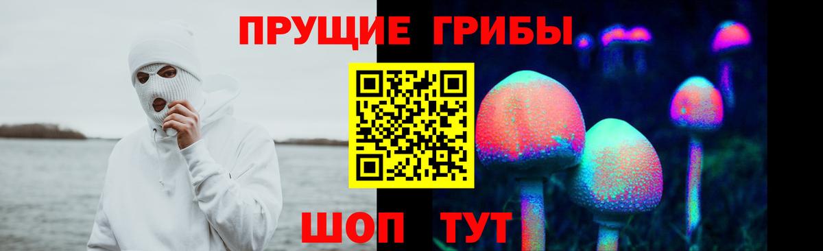 купить наркотик  Вход с VPN  Буйнакск  Псилоцибиновые грибы мухоморы  Псилоцибиновые грибы прущие грибы 